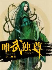 唯武独尊老狐后续