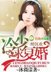 一醉沉欢冷少求复婚txt