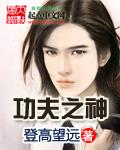 功夫之神李赛凤在线观看免费