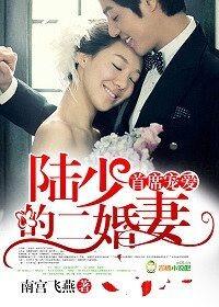 陆少的头号宠婚免费阅读全文