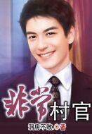 非常村官二部免费阅读全文