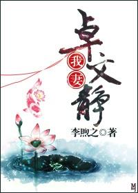 我妻卓文静内容