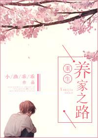 重生之养家之路txt