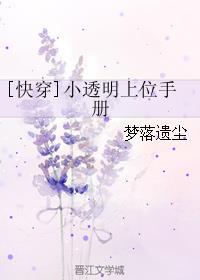 作者小透明