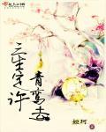情定三生 知乎
