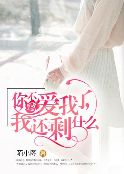 你不爱我了我还剩什么歌