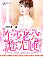 夜少心尖宠:国民妖精是总统