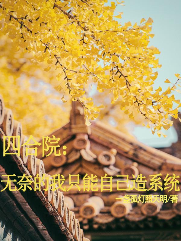 四合院:无奈的我只能自己造系统