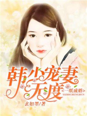 一纸成婚:韩少宠妻无度