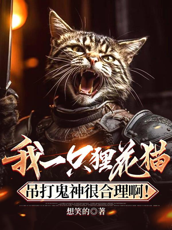 我一只狸花猫吊打鬼神很合理啊!