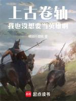 上古卷轴:我也没想要当英雄啊