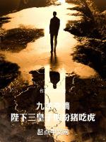 九龙夺嫡:陛下三皇子他扮猪吃虎
