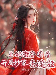 开局抄家,王妃搬空国库去流放