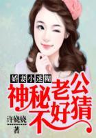 娇妻小迷糊:神秘老公不好猜
