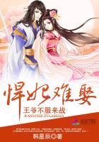 悍妃难娶:王爷不服来战