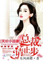 天价小逃妻：总裁，请止步